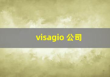 visagio 公司